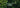 Tree-Nation-We-Plant-trees-Banner - Cayrus World of Finishing