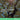 tree-nation-plant-join-in - Cayrus World of Finishing